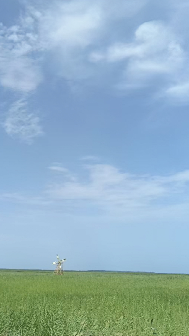 自然景觀