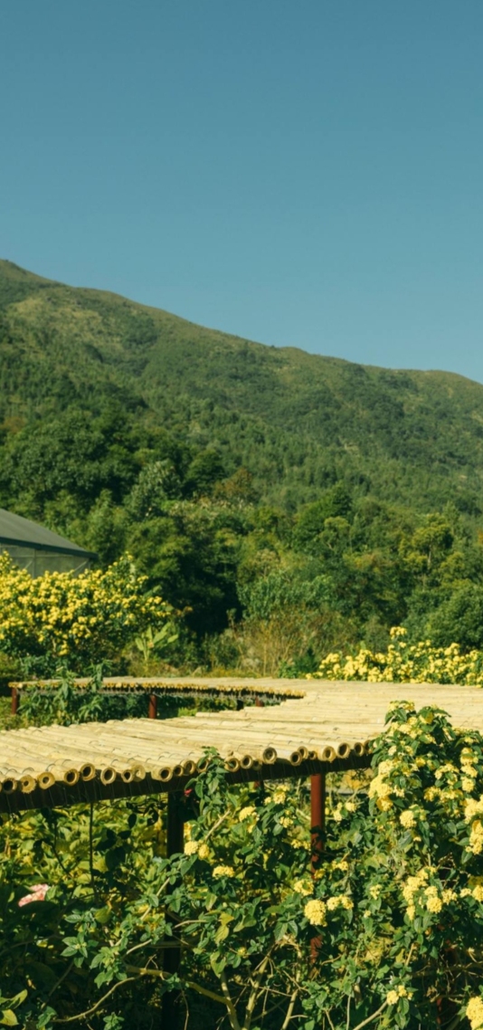山里的风景