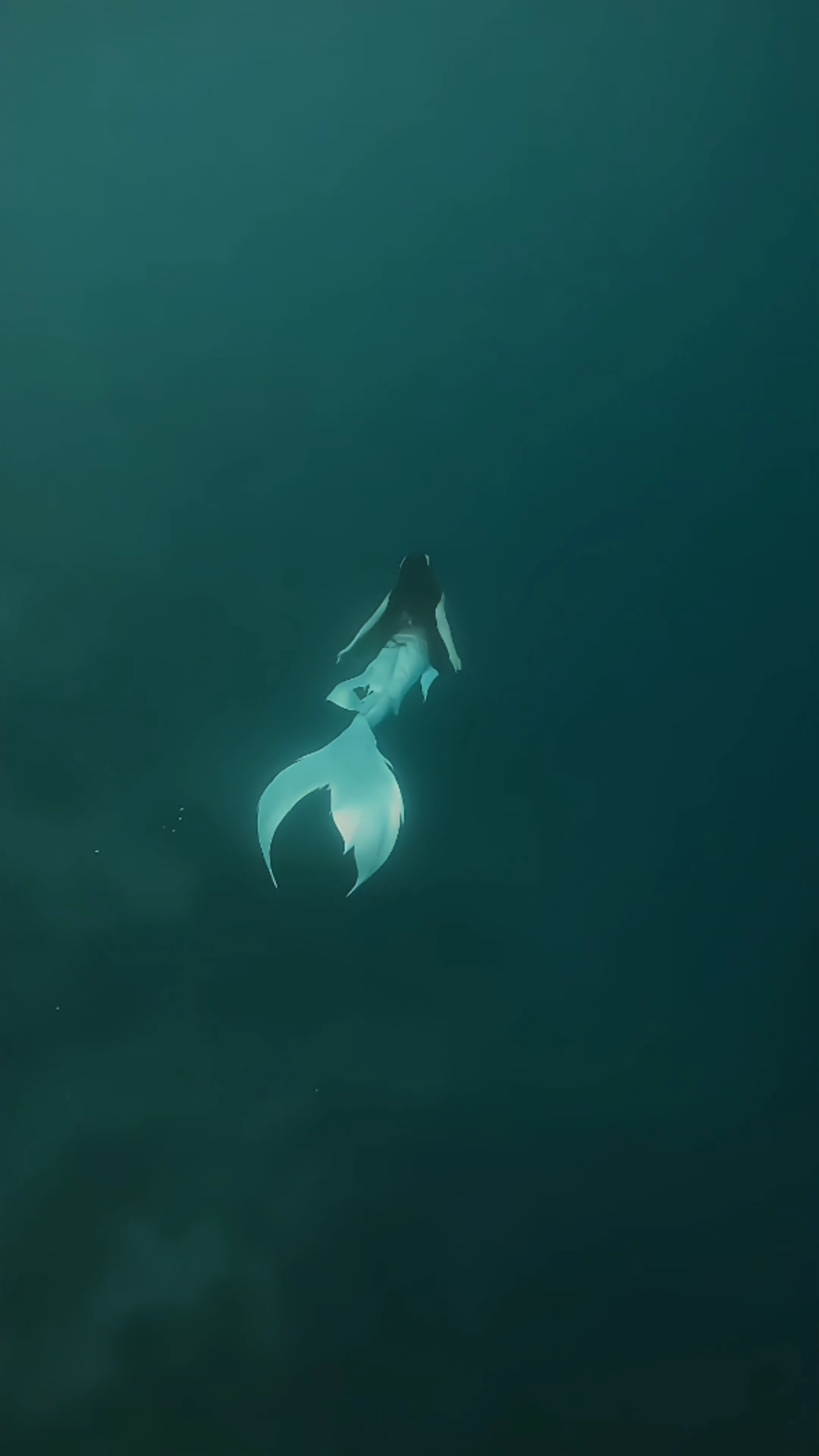 美人魚4k護眼壁紙