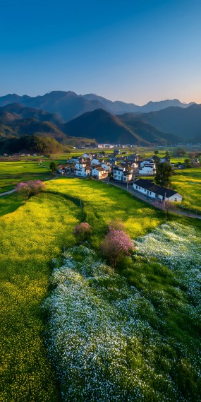 春染田园，静谧徽乡