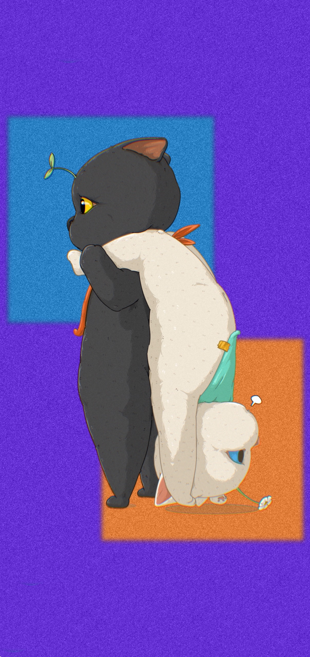 可愛