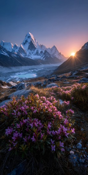 日出雪域，花与光的静谧诗篇
