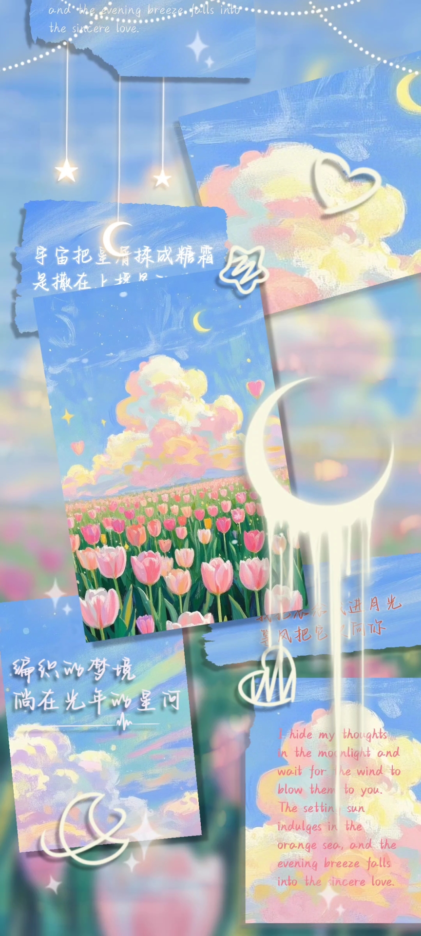 星屑糖霜鬱金香