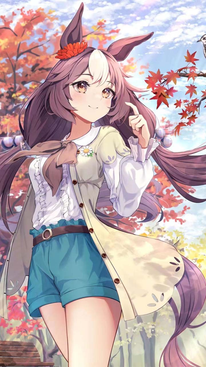 动漫-狐系美女