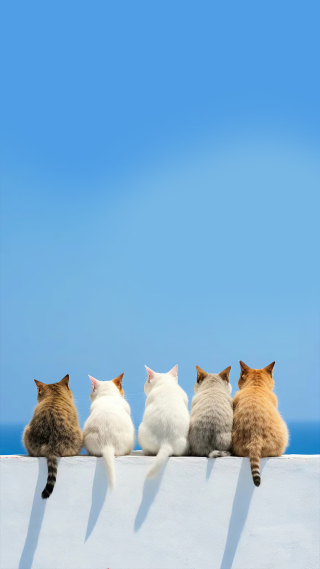 五只小猫