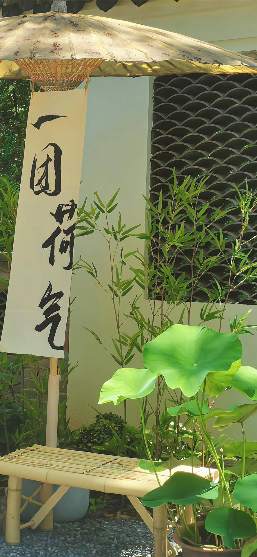 荷氣