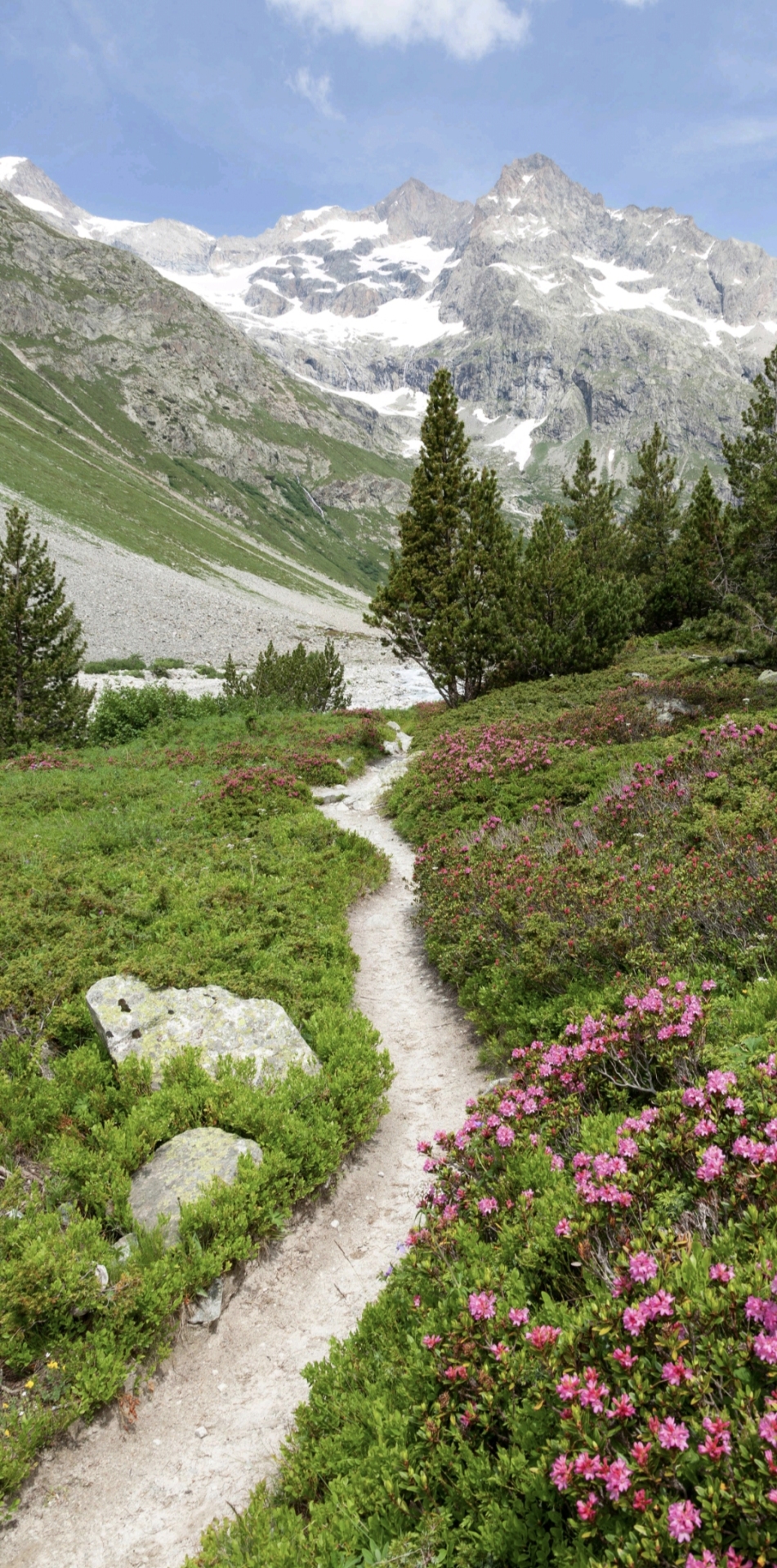 自然风景