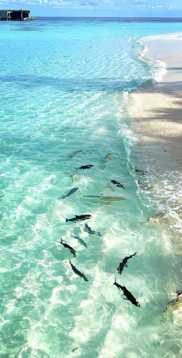 海边