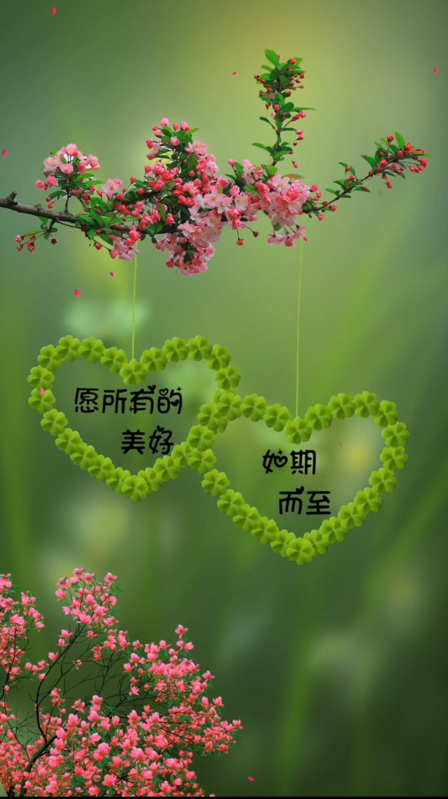 護眼壁紙