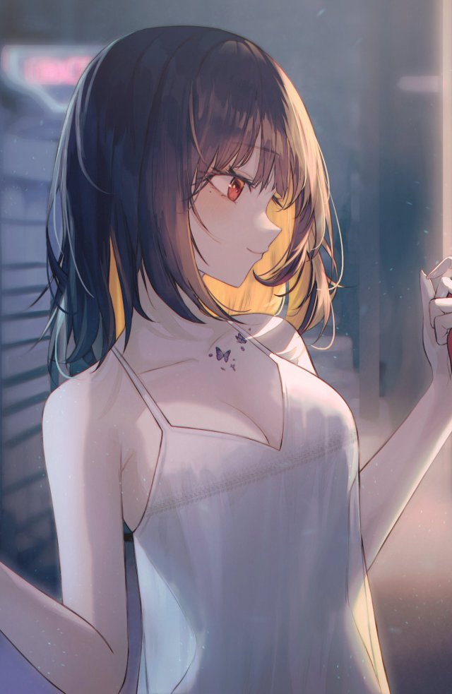 粉蝴蝶
