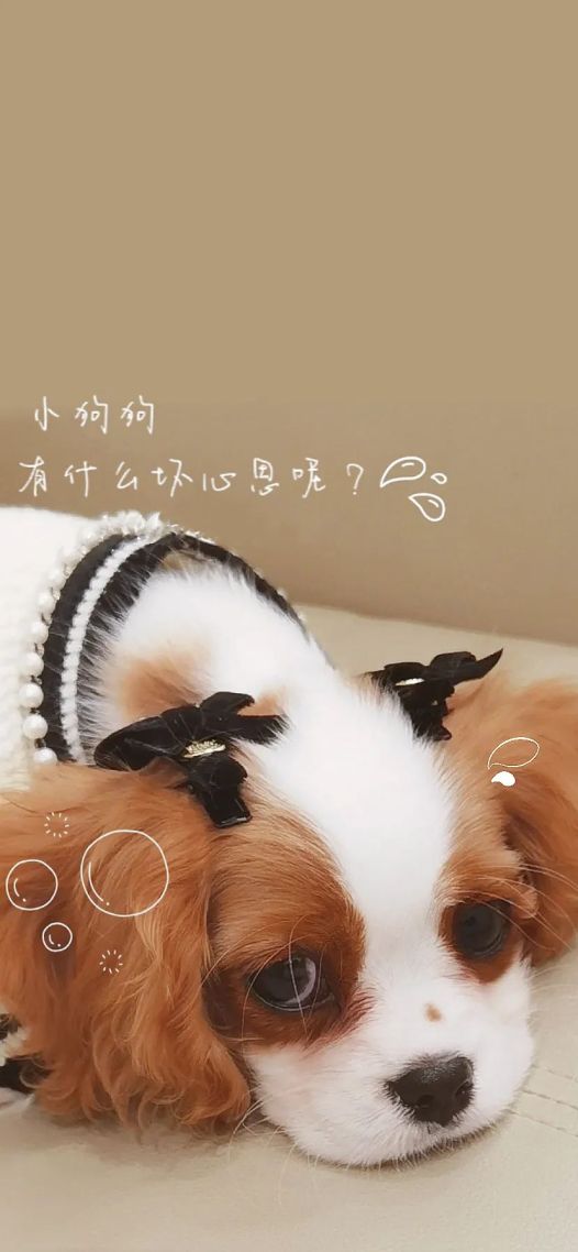 坏心思
