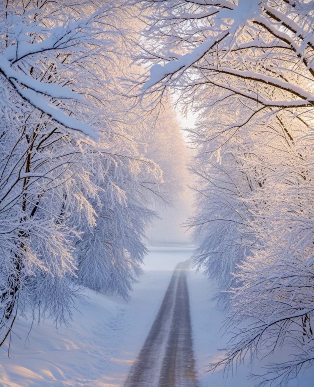 雪景