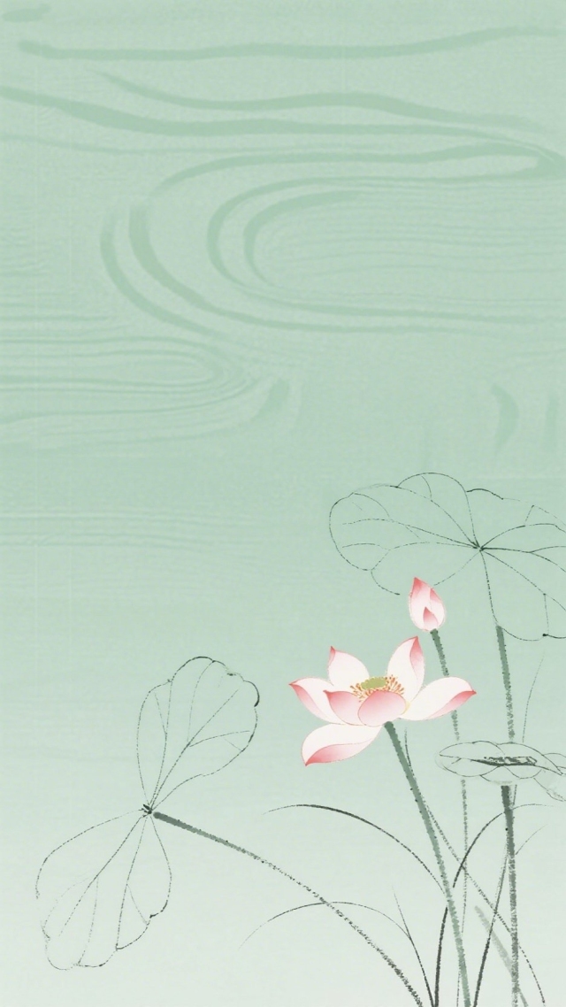 荷花