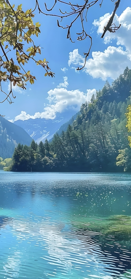 清新风景