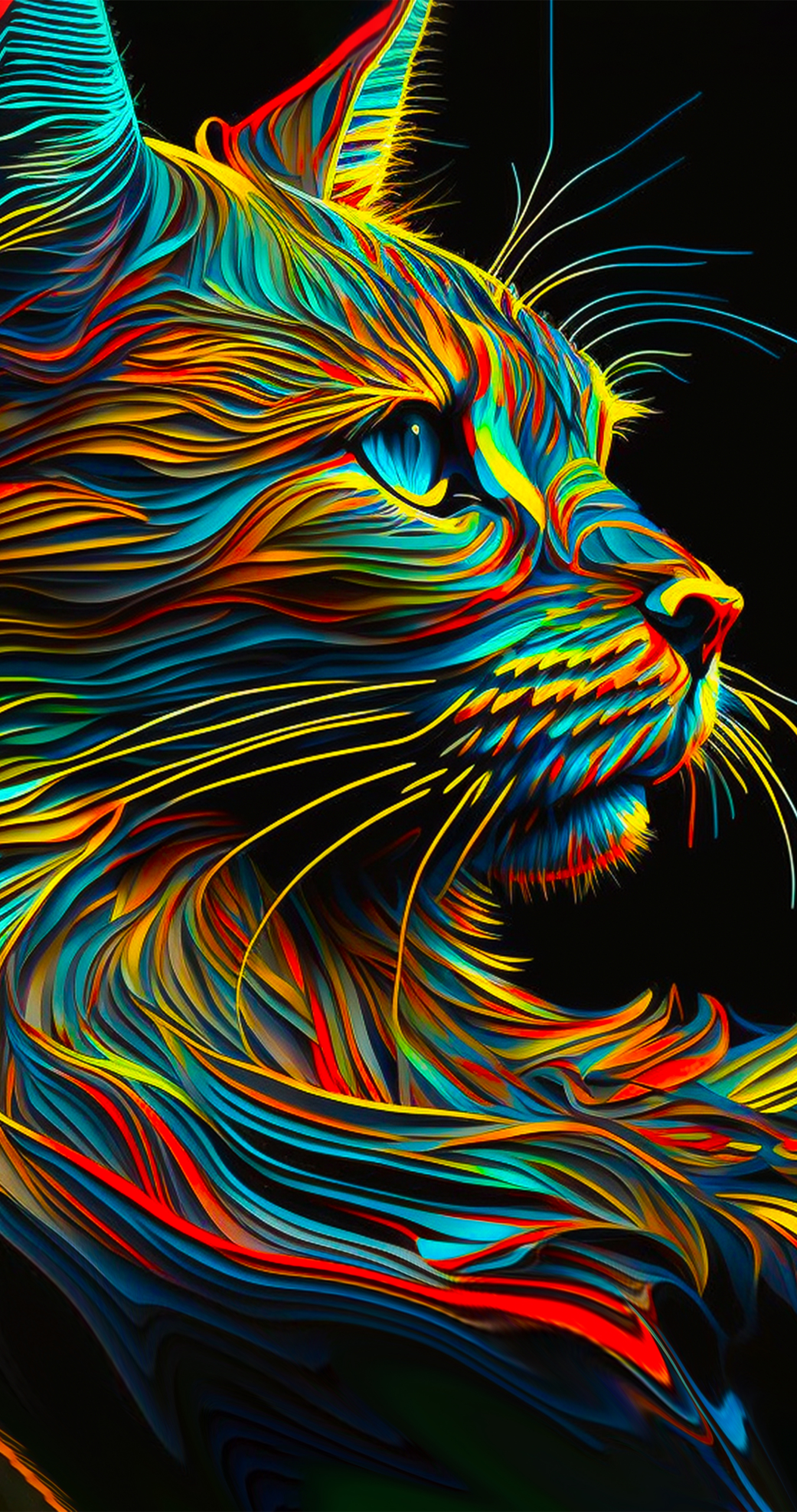貓 4K