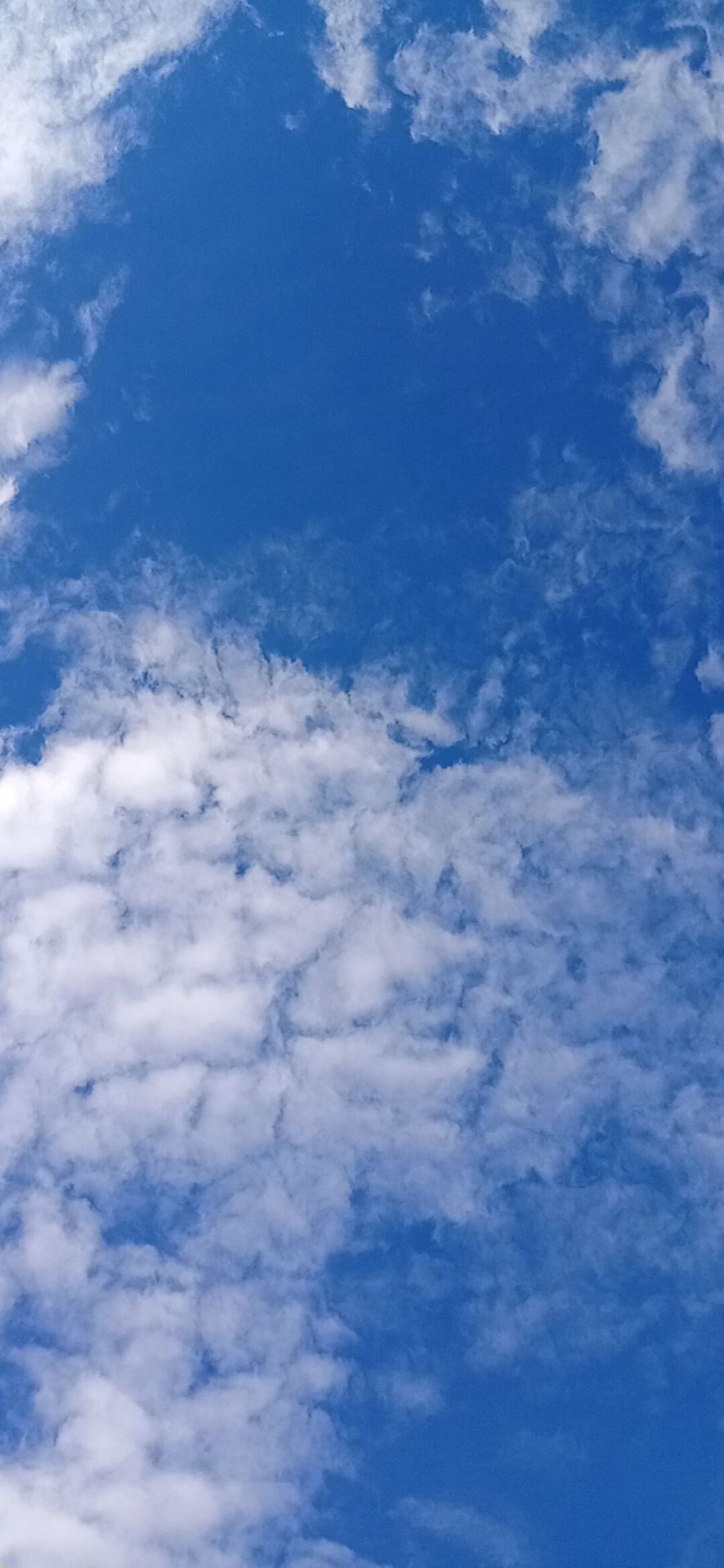 藍天白雲