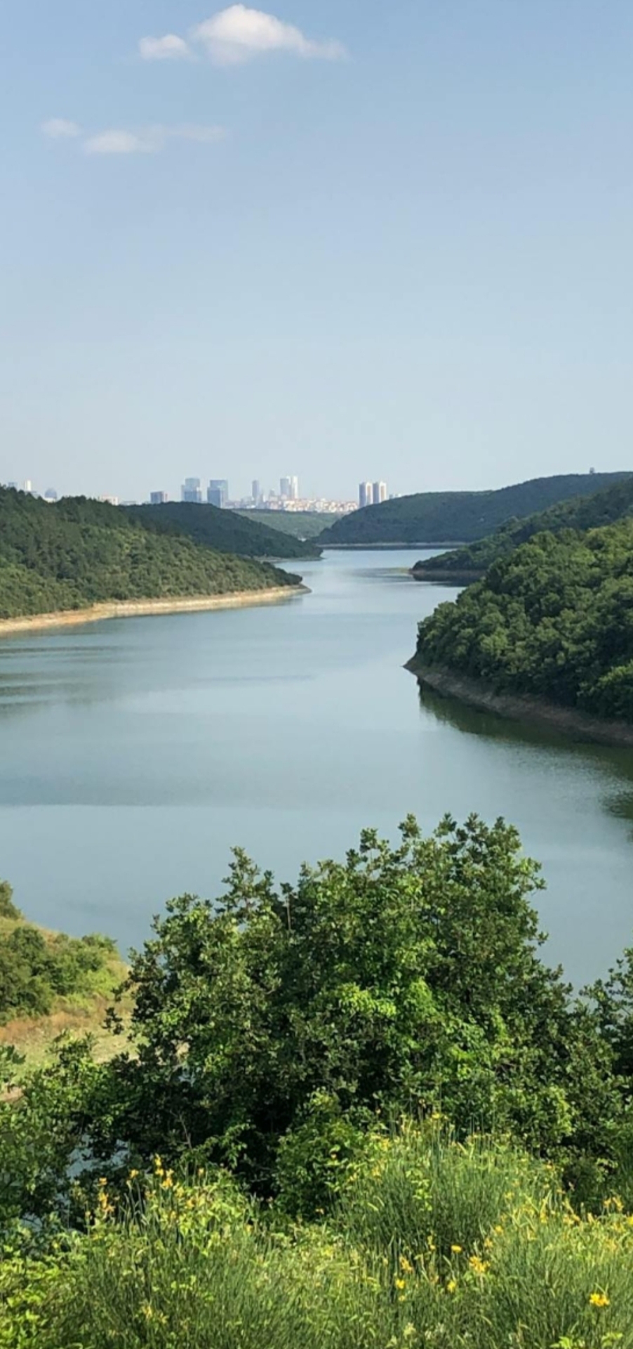 自然風景