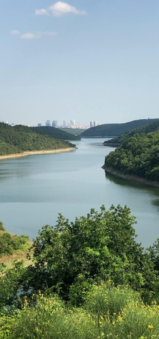 自然风景