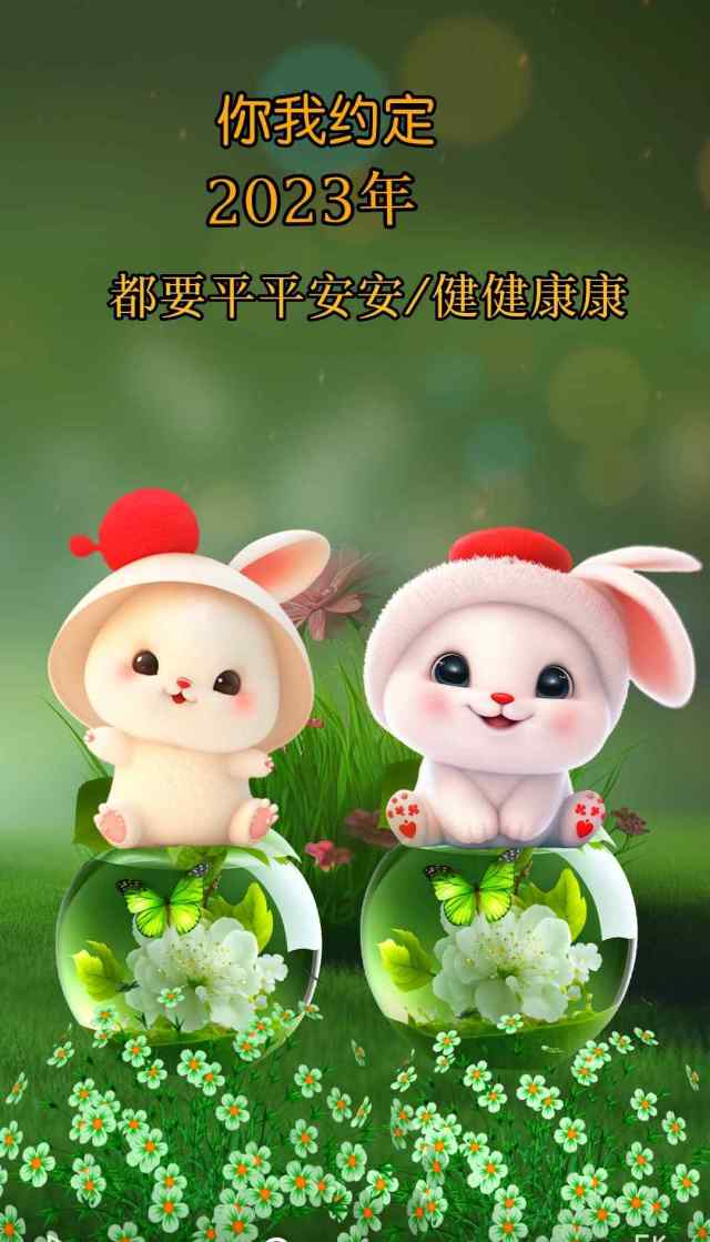 可爱兔子2823
