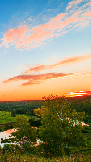 自然壁纸 自然手机壁纸 自然手机静态壁纸 元气壁纸
