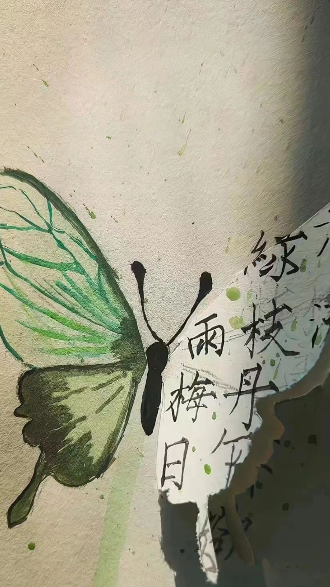 蝴蝶6