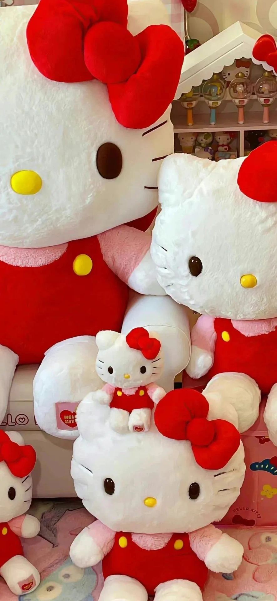红色小猫