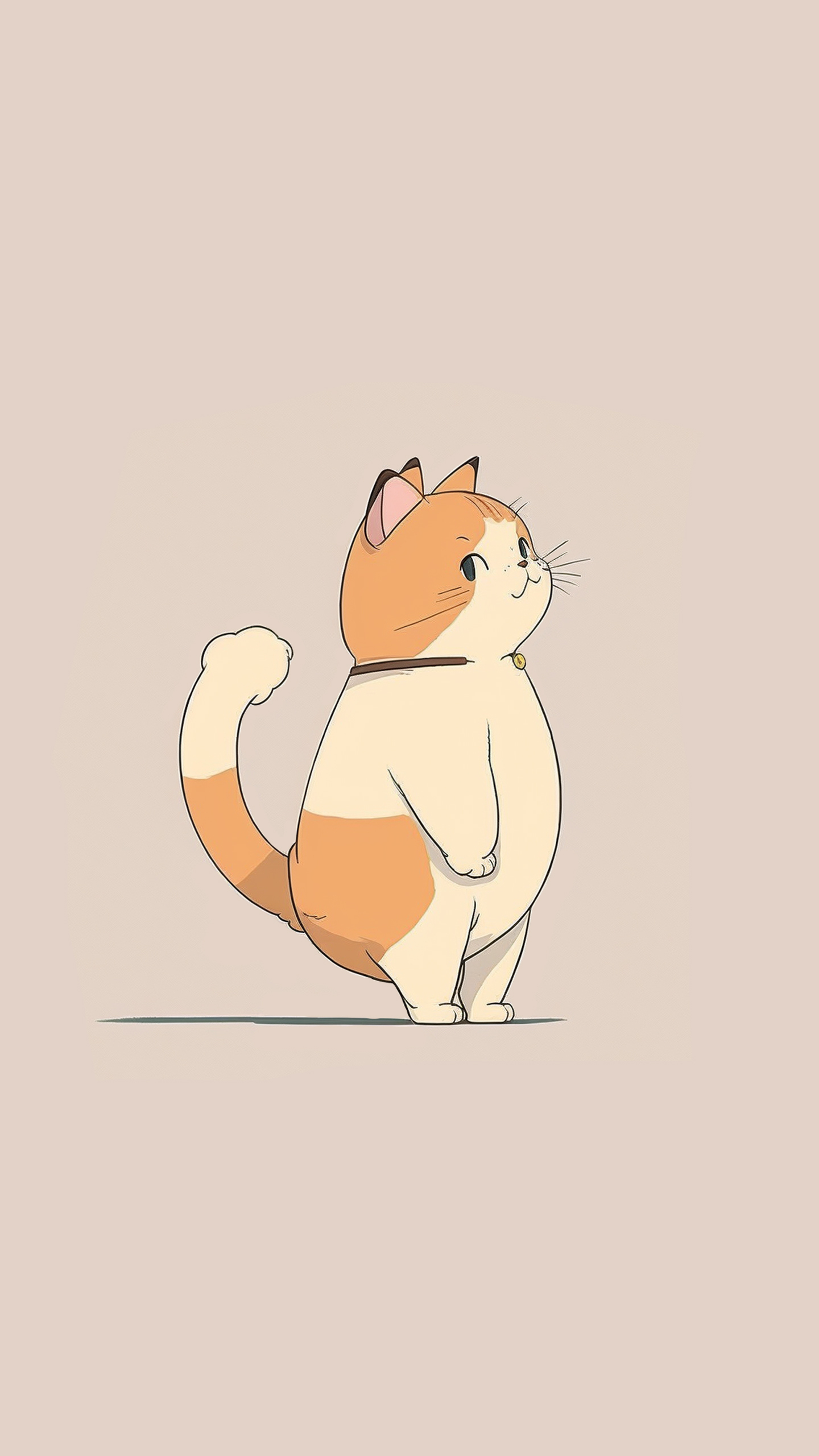 萌萌猫咪哒