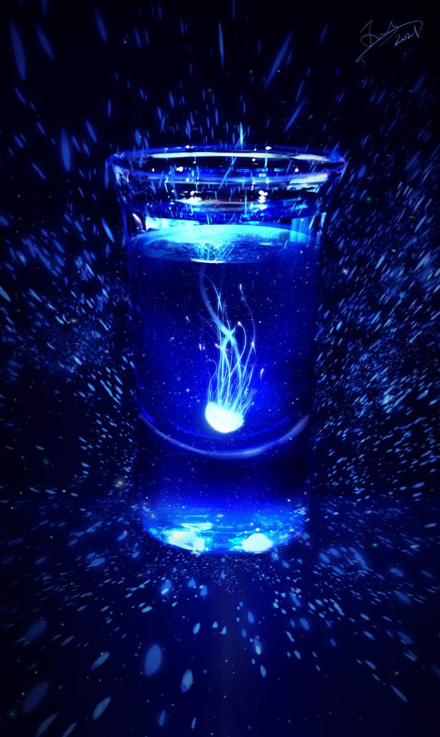 藍色水母