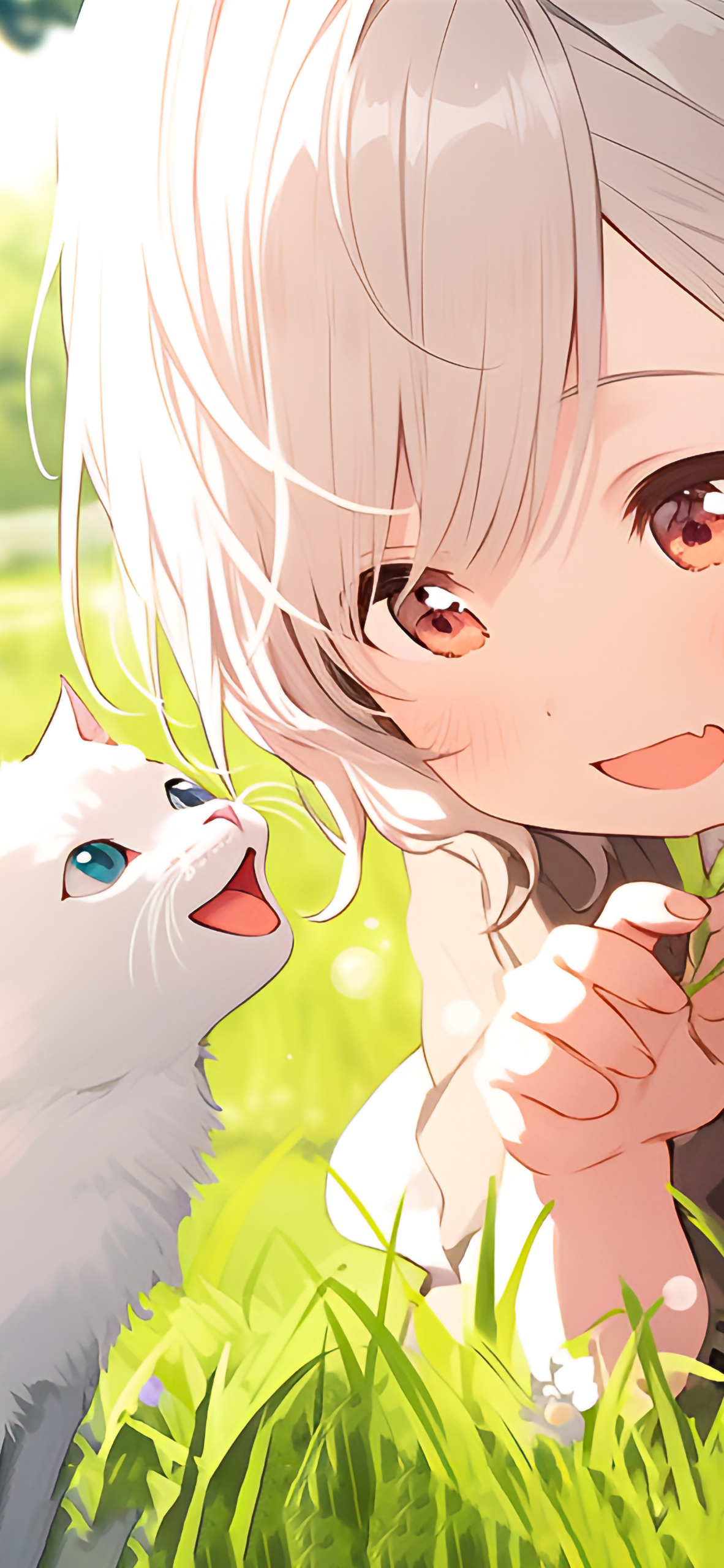 草地上的女孩和猫