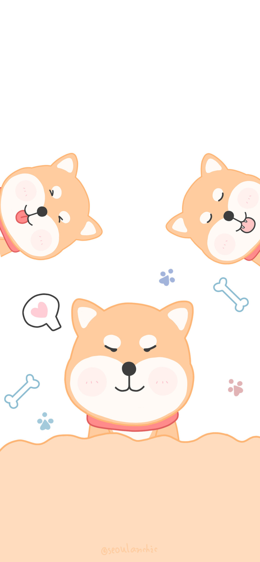 可愛柴犬