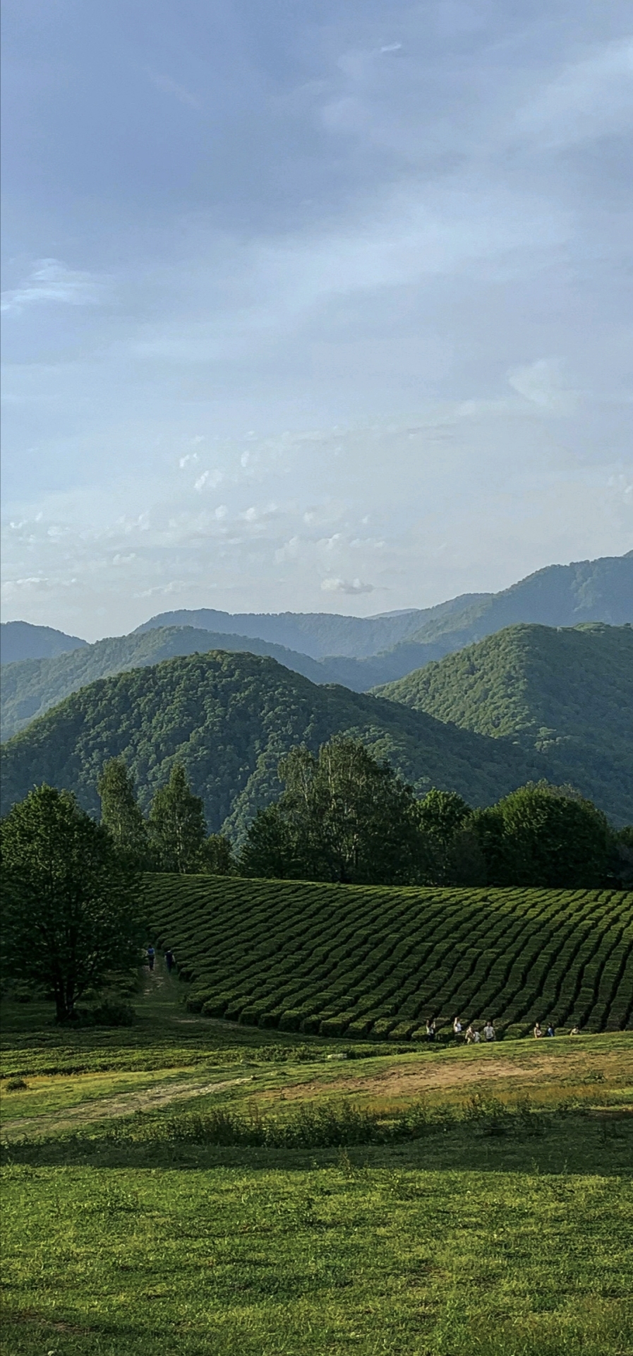 自然风景