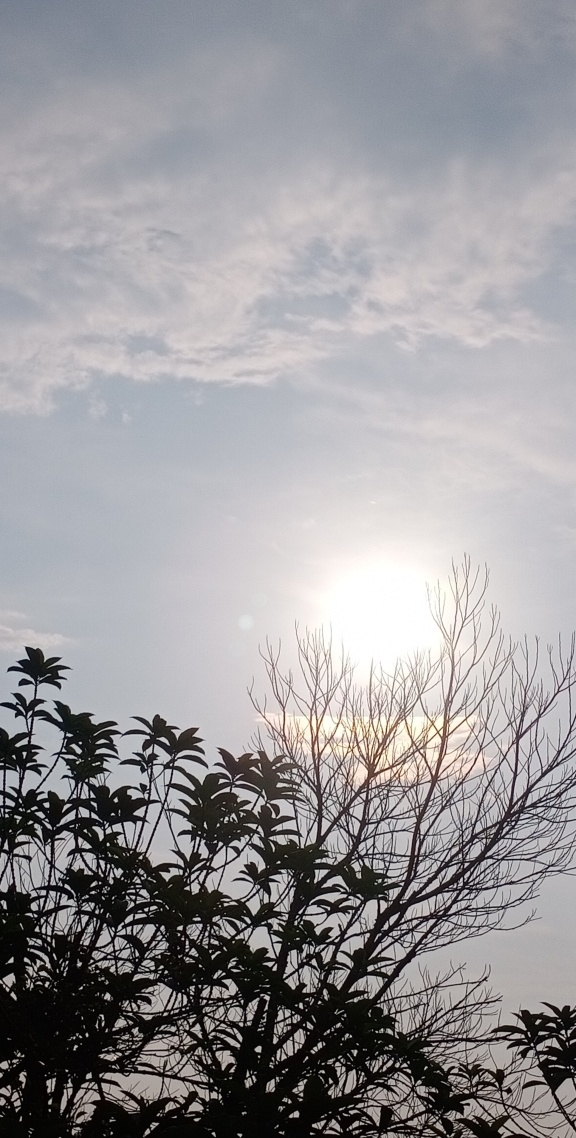 自然陽光
