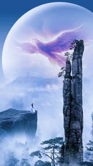 凤凰壁纸 凤凰手机壁纸 凤凰手机静态壁纸 元气壁纸