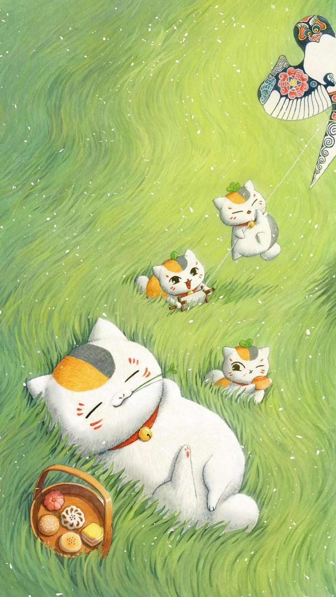 貓咪
