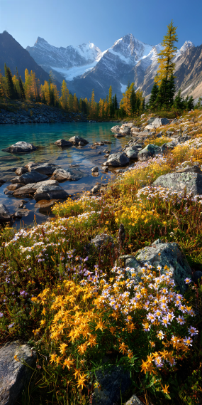 秋染山湖，花开成岸