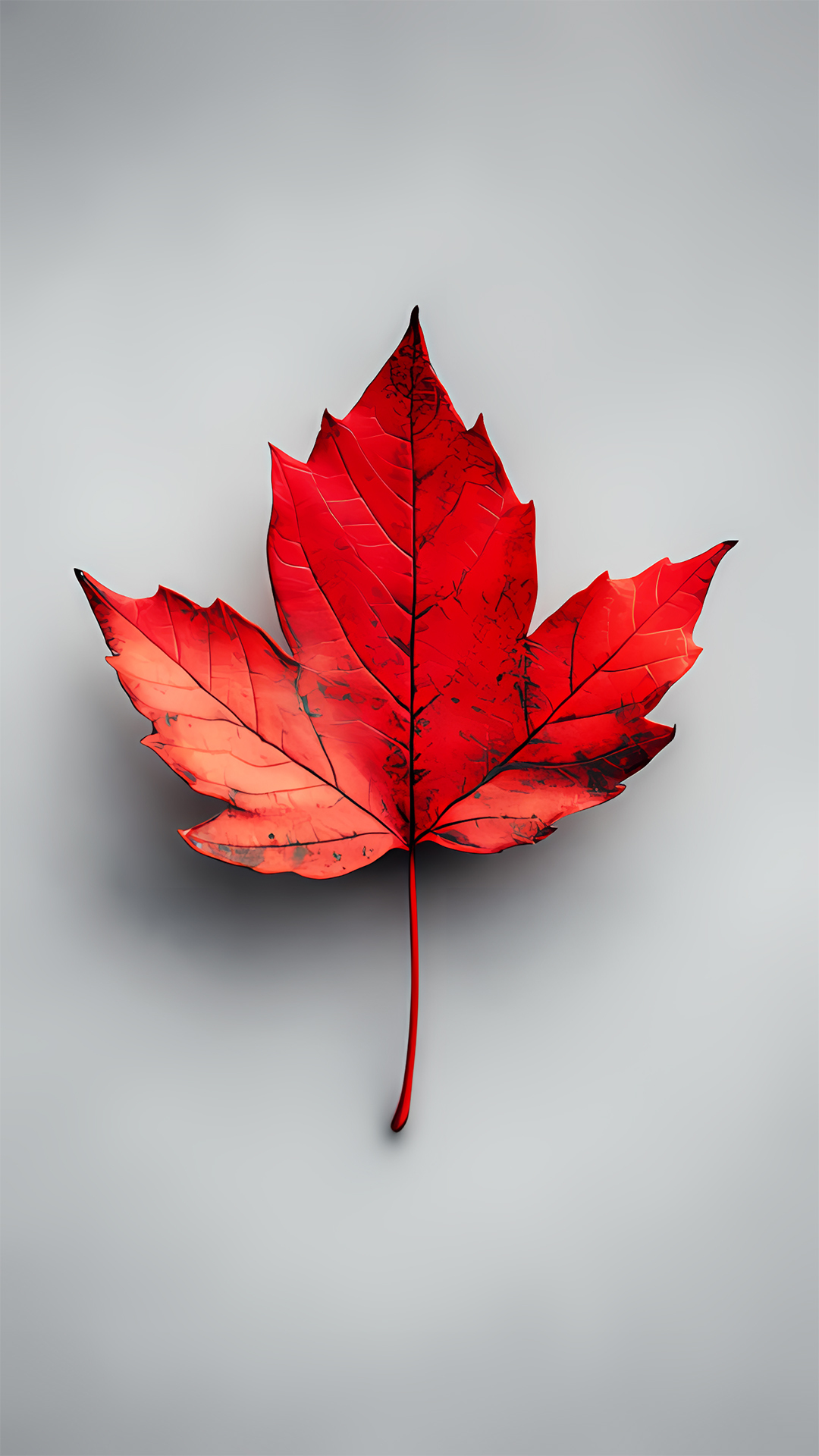 紅葉