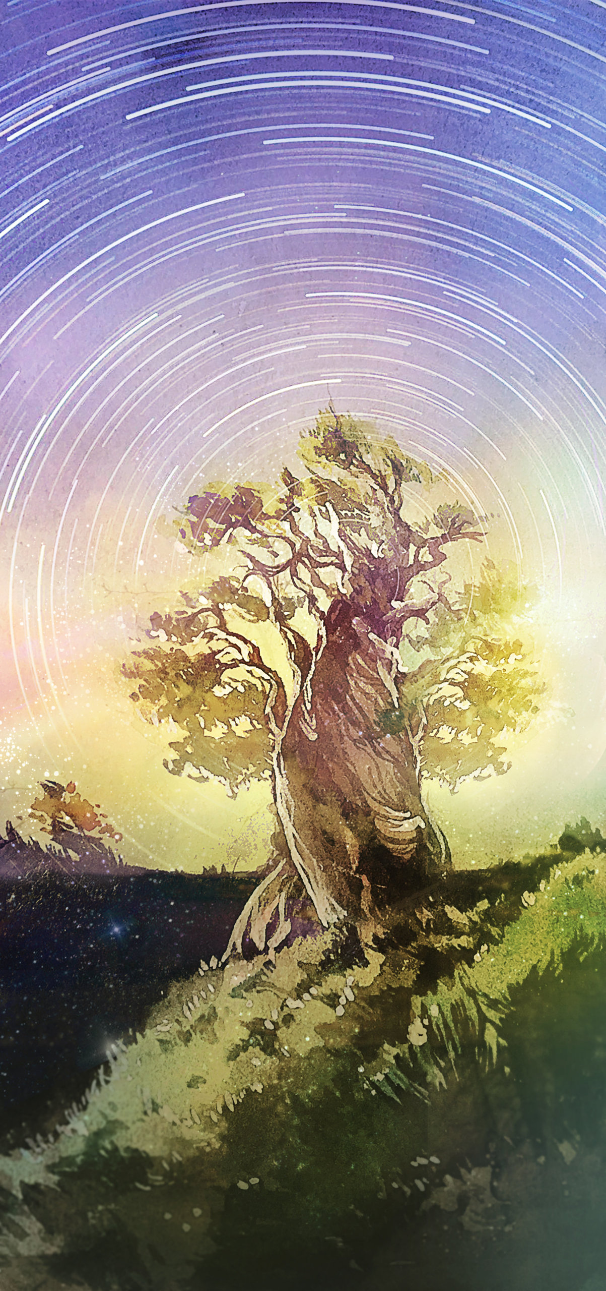 星軌