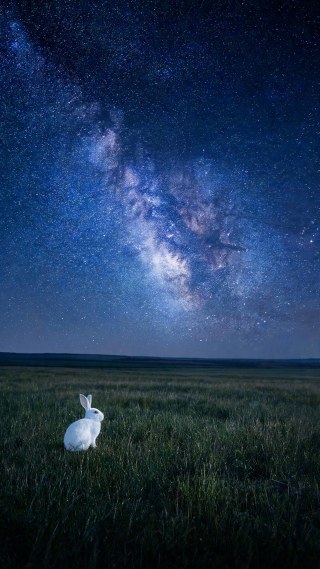 点景·雪兔·星空草原