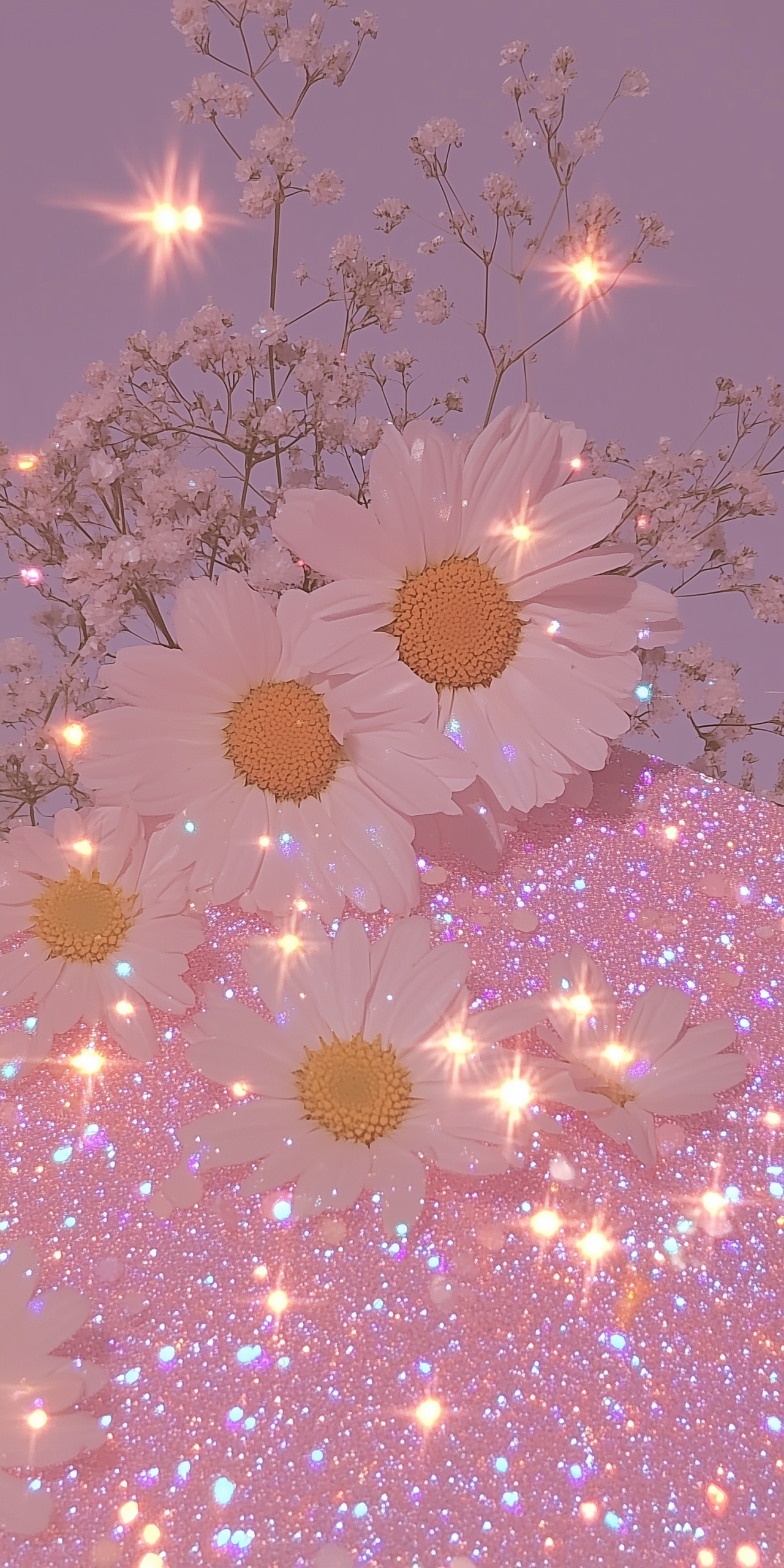 粉色系雛菊花