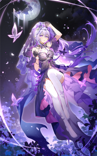 遐蝶