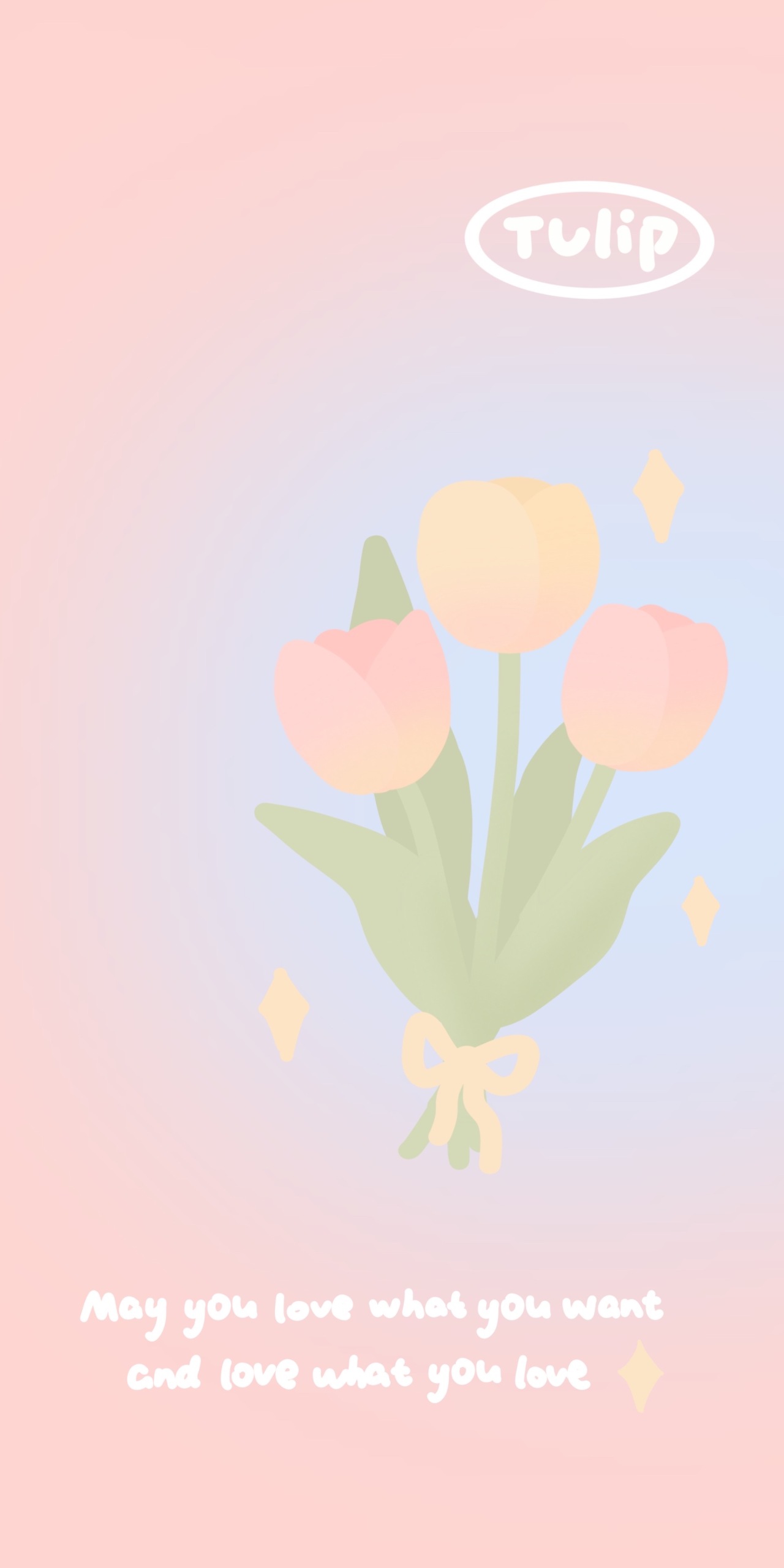 漸變鬱金香花束
