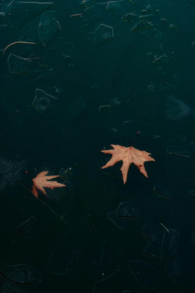 护眼壁纸