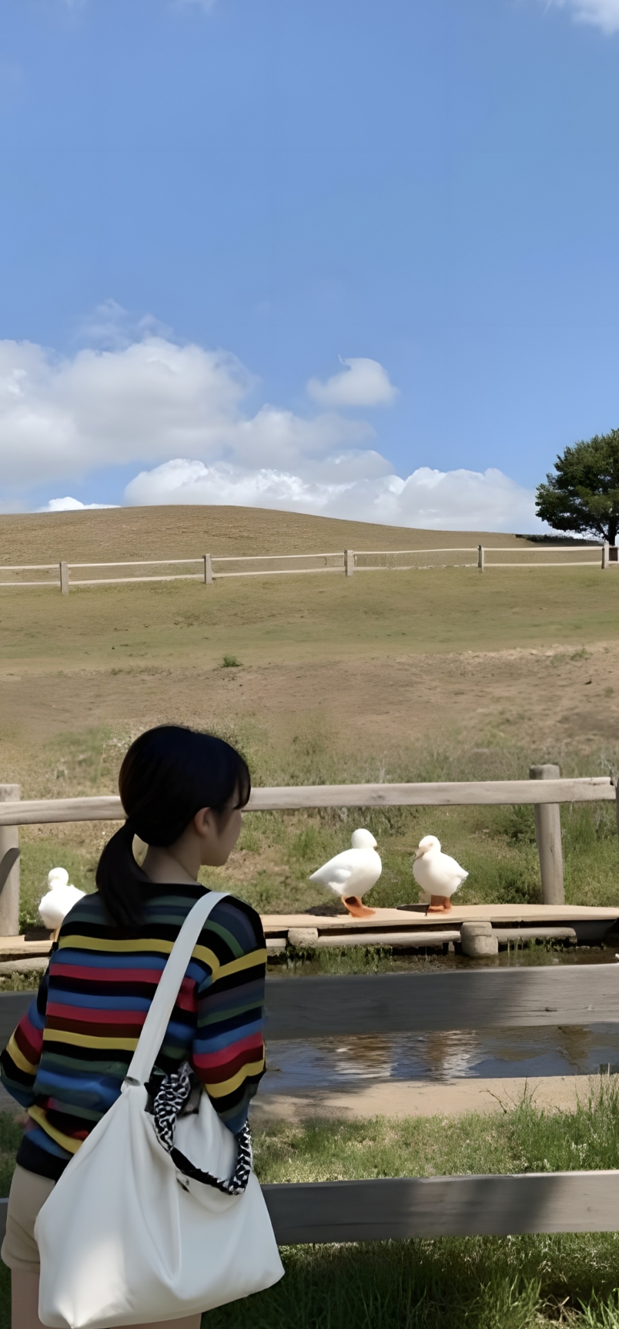 大自然