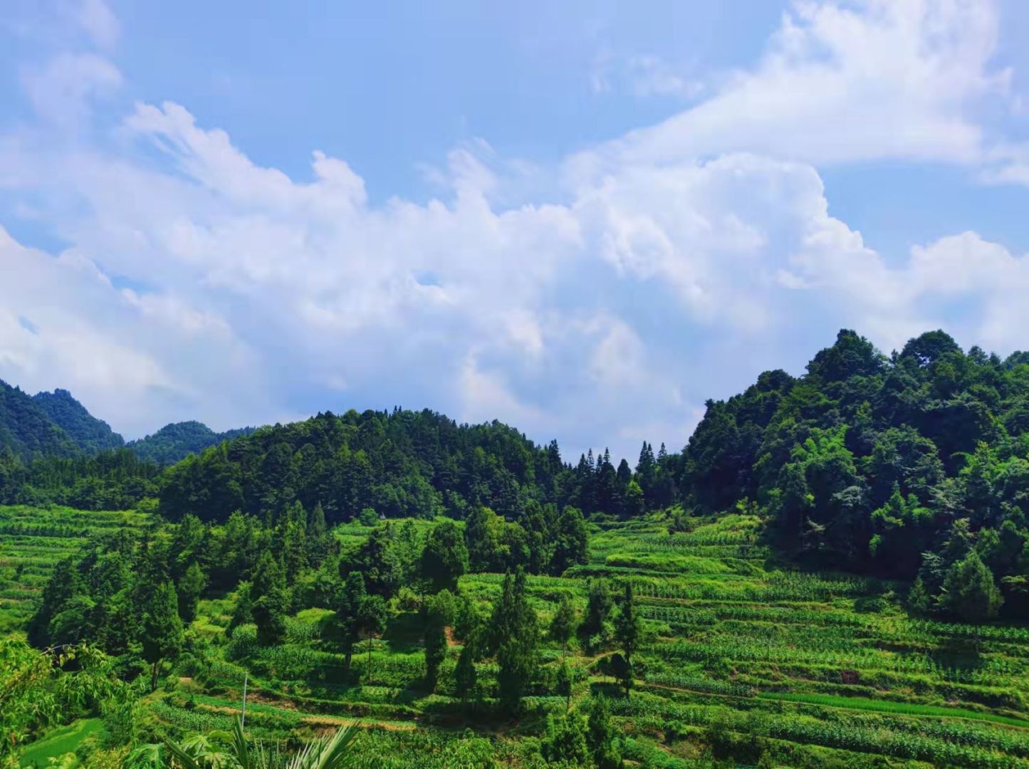 自然风景 护眼 治愈