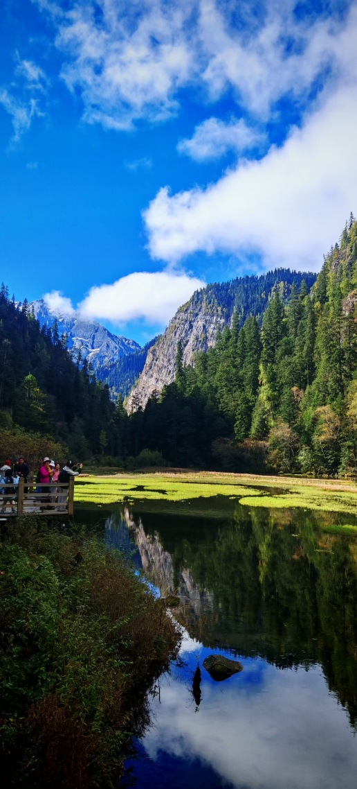 治愈美景
