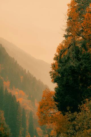 自然护眼风景