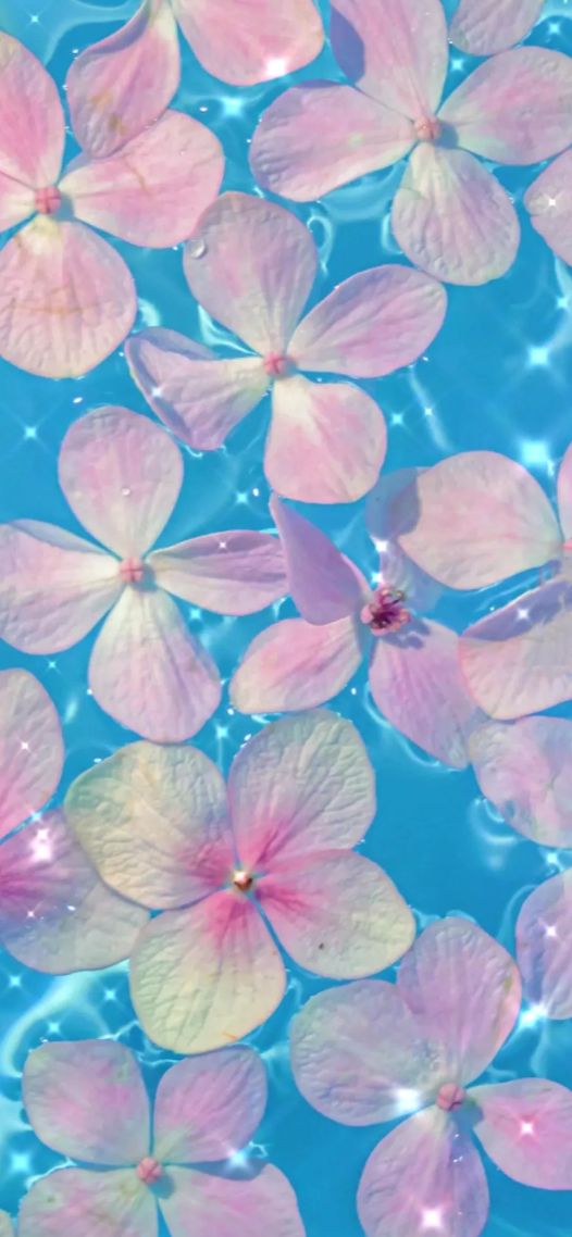 水裡的花