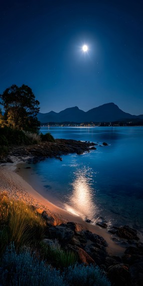 月光海岸的静谧之夜
