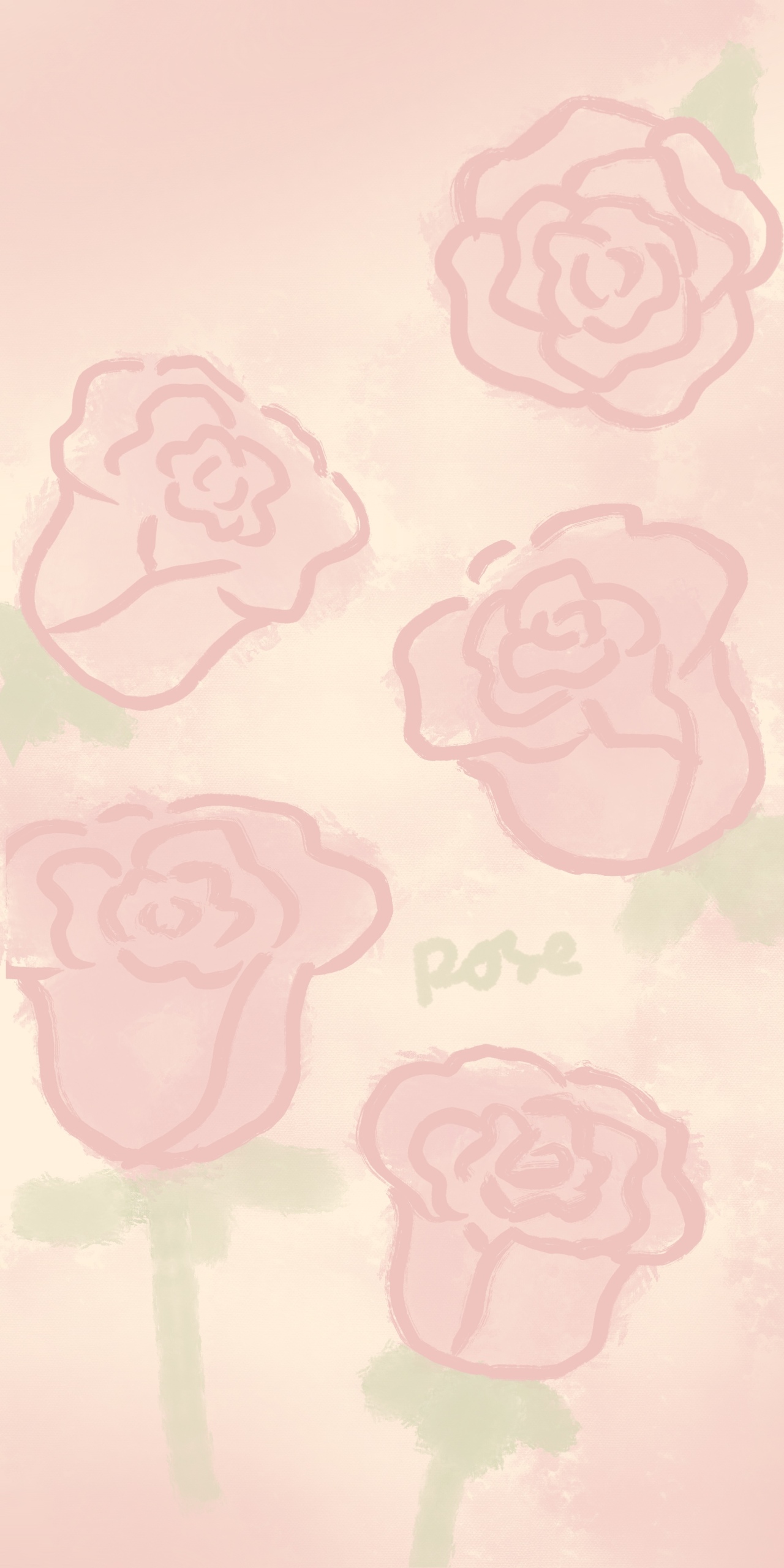 粉色玫瑰花
