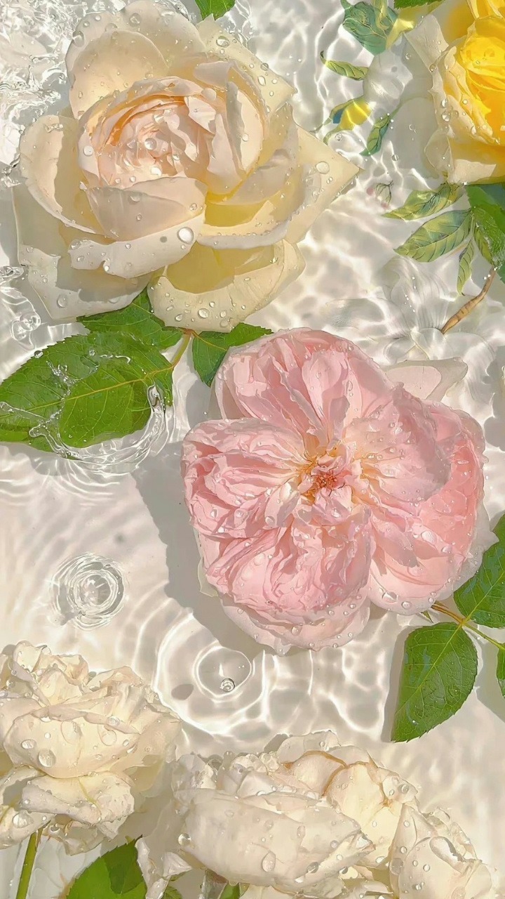 夏日清涼